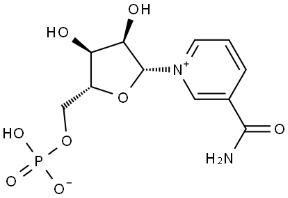 β-烟酰胺单核苷酸产品图片